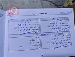 شيري أريزو 6